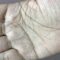 Very lucky male hand. बहुत भाग्यशाली.palmistry reading in hindi.
