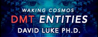 What are DMT Entities? | David Luke Ph.D. on Waking Cosmos