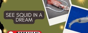 What Does It Mean To See Squid in a Dream?