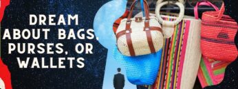 What Does It Mean When You Dream About Bags, Purses, or Wallets?