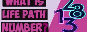 What Is My Life Path Number? Destiny Number: Importance And Meaning Of The Life Path Numbers