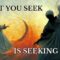 What You Seek Is Seeking You | Lessons That Will CHANGE Your Life | RUMI