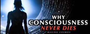 Why Consciousness is Immortal | The Philosophical Proof of Life After Death