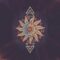 Wisdom Bites – Esoteric Astrology