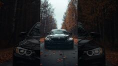 You Dreamed of a Black Car? Warning or Blessing?
