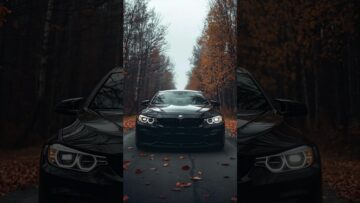 You Dreamed of a Black Car? Warning or Blessing?