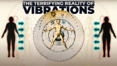 Youll Never Mock Vibrations Again.