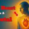 Your Heart is a STARGATE: Discover the Ancient Secret Hidden in Your Chest