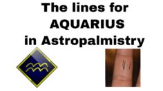 Astropalmistry: Aquarius