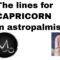 Astropalmistry: Capricorn