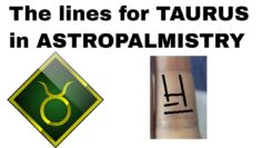 Astropalmistry: Taurus