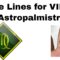 Astropalmistry: Virgo