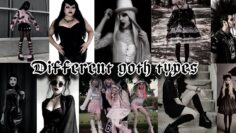DIFFERENT TYPES OF GOTH