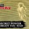 God Gave You This Secret Power But You Don’t Use It