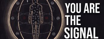How to Become the Frequency of Abundance