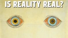 How Your Brain Hallucinates Your Conscious Reality