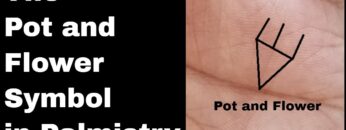 Indian Palmistry Symbols: Pot and Flower and Sudden Wealth