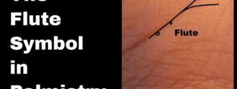 Indian Palmistry Symbols: The Flute sign and Charm