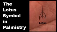 Indian Palmistry Symbols: The Lotus Sign and Luck