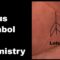 Indian Palmistry Symbols: The Lotus Sign and Luck