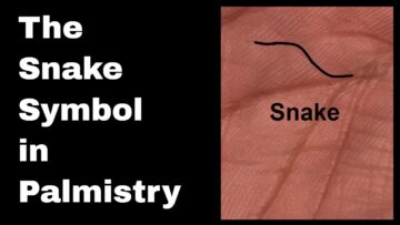 Indian Palmistry Symbols: The Snake sign and Obstructions
