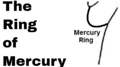 Palmistry: The Mercury Ring