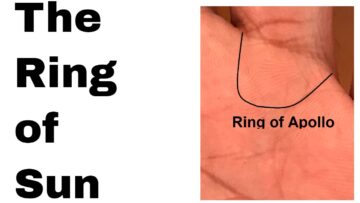 Palmistry: The Sun Ring or the Ring of Apollo