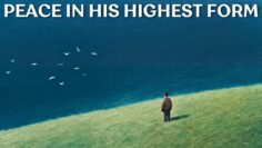 The Highest Form of Peace Is to Have Zero Desire to Be Understood