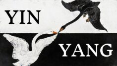 The Spiritual Meaning Behind Yin & Yang