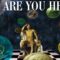 This Dimension Is A School: How to Realize Who You Are