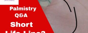 What does a Short Life Line mean?