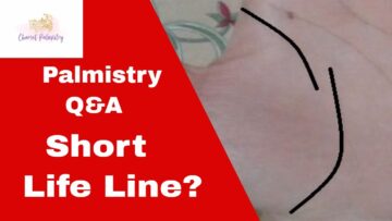 What does a Short Life Line mean?