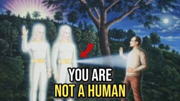 You Are NOT A Human!