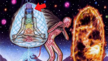 Youre in a Simulation of False Perception: Heres how to Exit it.