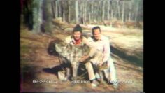Corpsewood, 1982 – An Investigation into the paranormal murders at Corpsewood Manor