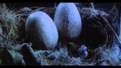 House 2 – The Second Story
