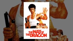 The Way Of The Dragon
